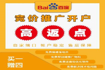 百度竞价广告的创意与执行：成功案例剖析